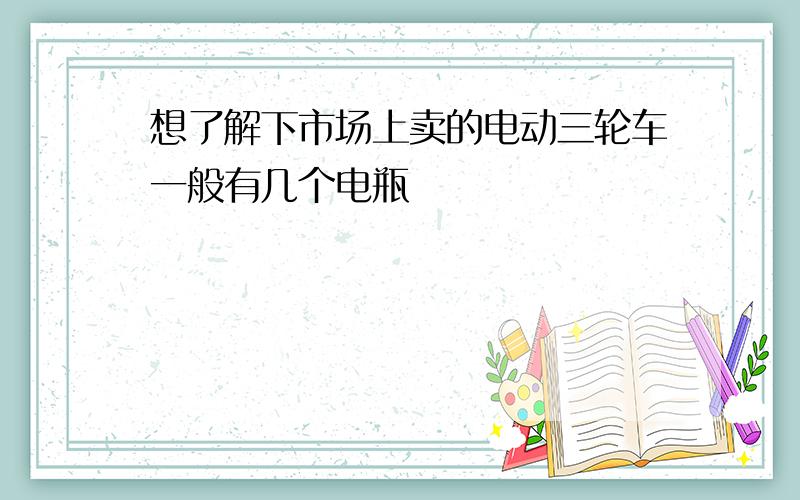 想了解下市场上卖的电动三轮车一般有几个电瓶