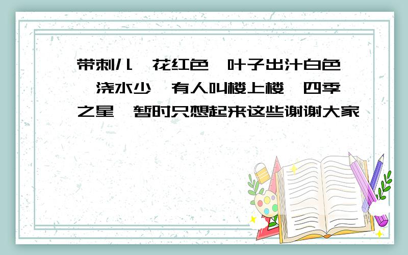 带刺儿　花红色　叶子出汁白色　浇水少　有人叫楼上楼,四季之星　暂时只想起来这些谢谢大家