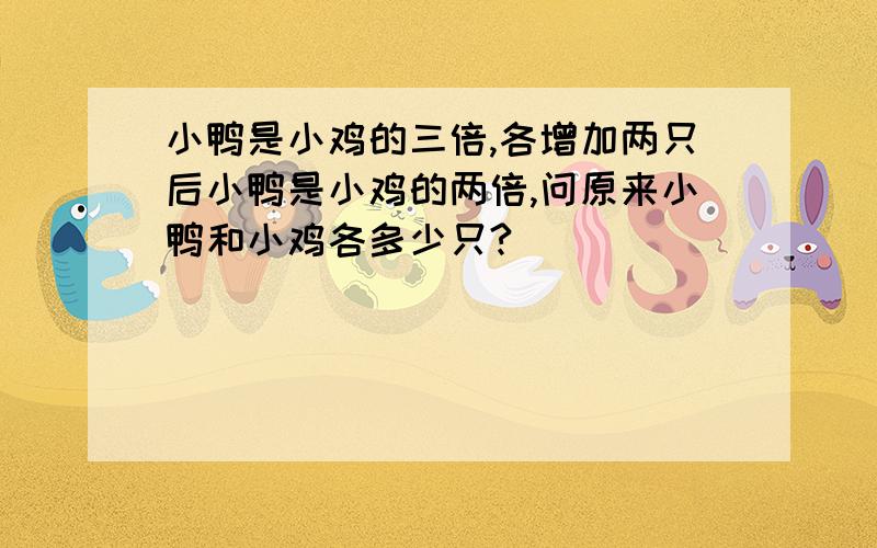 小鸭是小鸡的三倍,各增加两只后小鸭是小鸡的两倍,问原来小鸭和小鸡各多少只?