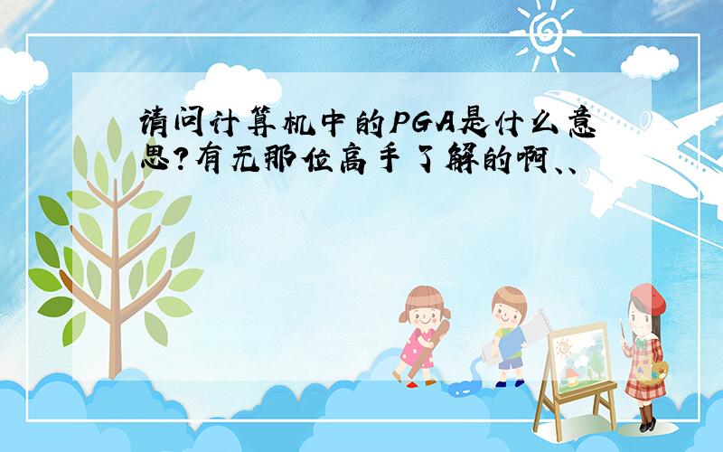 请问计算机中的PGA是什么意思?有无那位高手了解的啊、、