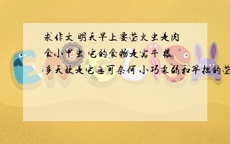 求作文 明天早上要莹火虫是肉食小甲虫 它的食物是窝牛 很多天敌是它无可奈何 小巧柔弱和笨拙的莹火虫如何对付它呢莹火虫的头