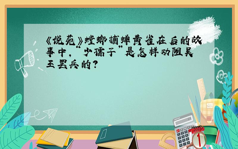 《说苑》螳螂捕蝉黄雀在后的故事中,“少孺子”是怎样劝阻吴王罢兵的?