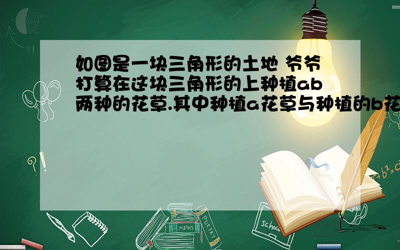 如图是一块三角形的土地 爷爷打算在这块三角形的上种植ab两种的花草.其中种植a花草与种植的b花草