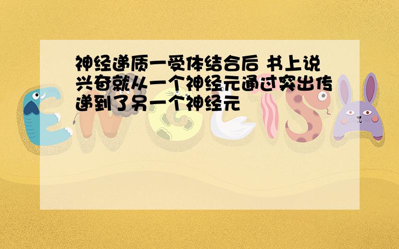 神经递质一受体结合后 书上说兴奋就从一个神经元通过突出传递到了另一个神经元