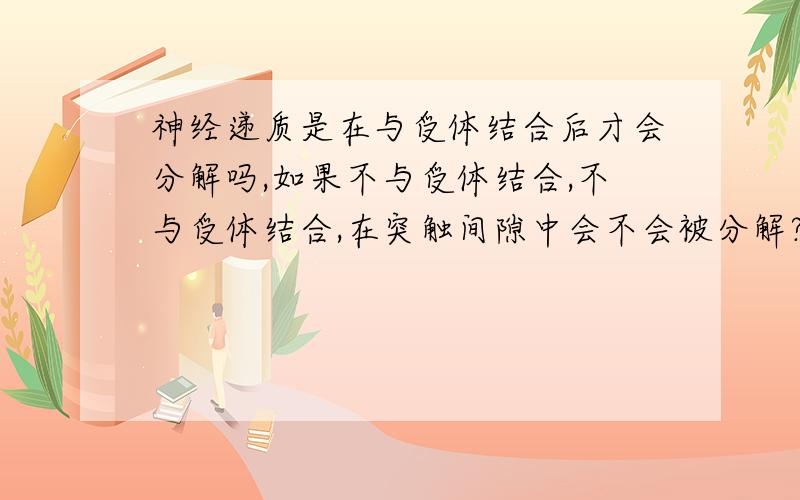 神经递质是在与受体结合后才会分解吗,如果不与受体结合,不与受体结合,在突触间隙中会不会被分解?