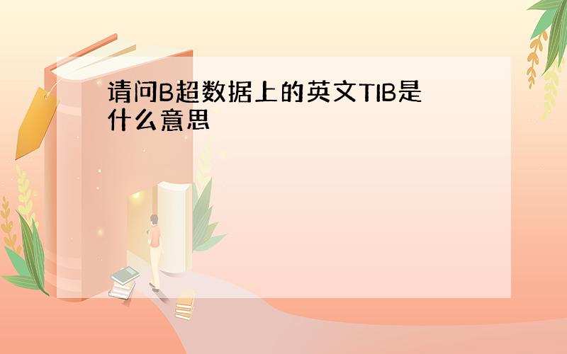 请问B超数据上的英文TIB是什么意思