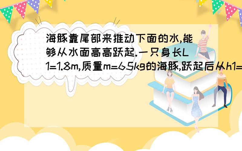 海豚靠尾部来推动下面的水,能够从水面高高跃起.一只身长L1=1.8m,质量m=65kg的海豚,跃起后从h1=1.0m的高