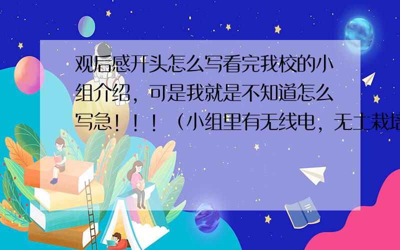 观后感开头怎么写看完我校的小组介绍，可是我就是不知道怎么写急！！！（小组里有无线电，无土栽培。。。。）