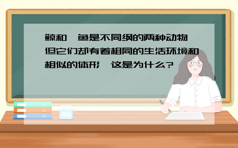 鲸和鲨鱼是不同纲的两种动物,但它们却有着相同的生活环境和相似的体形,这是为什么?