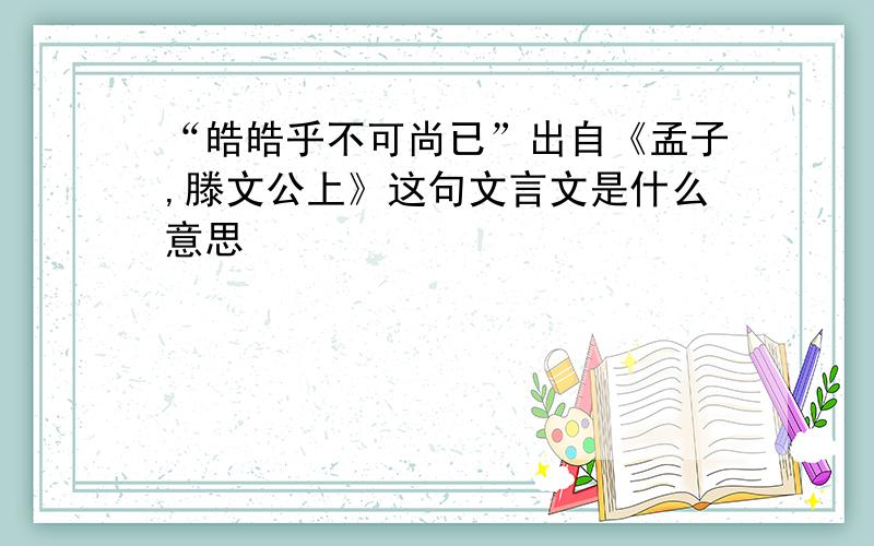 “皓皓乎不可尚已”出自《孟子,滕文公上》这句文言文是什么意思