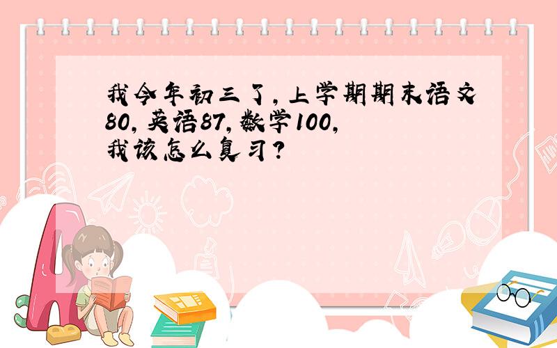 我今年初三了,上学期期末语文80,英语87,数学100,我该怎么复习?