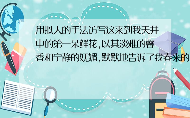 用拟人的手法访写这来到我天井中的第一朵鲜花,以其淡雅的馨香和宁静的妩媚,默默地告诉了我春来的消息