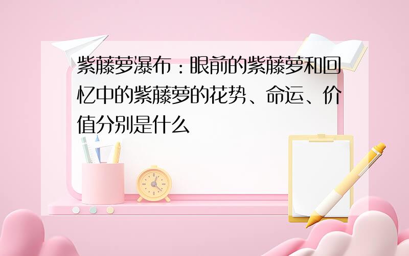 紫藤萝瀑布：眼前的紫藤萝和回忆中的紫藤萝的花势、命运、价值分别是什么