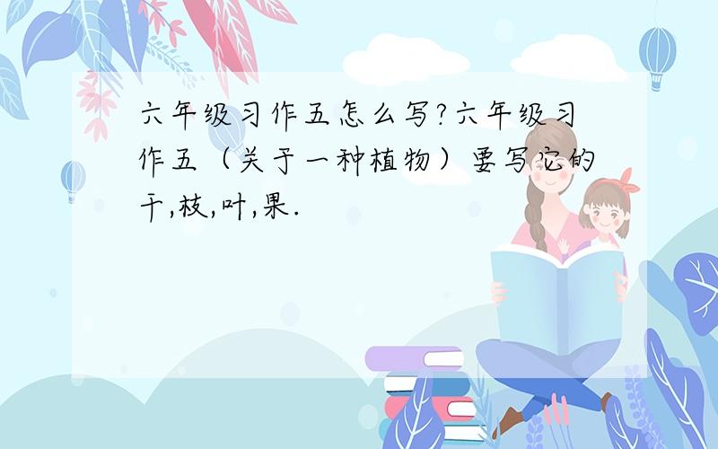 六年级习作五怎么写?六年级习作五（关于一种植物）要写它的干,枝,叶,果.