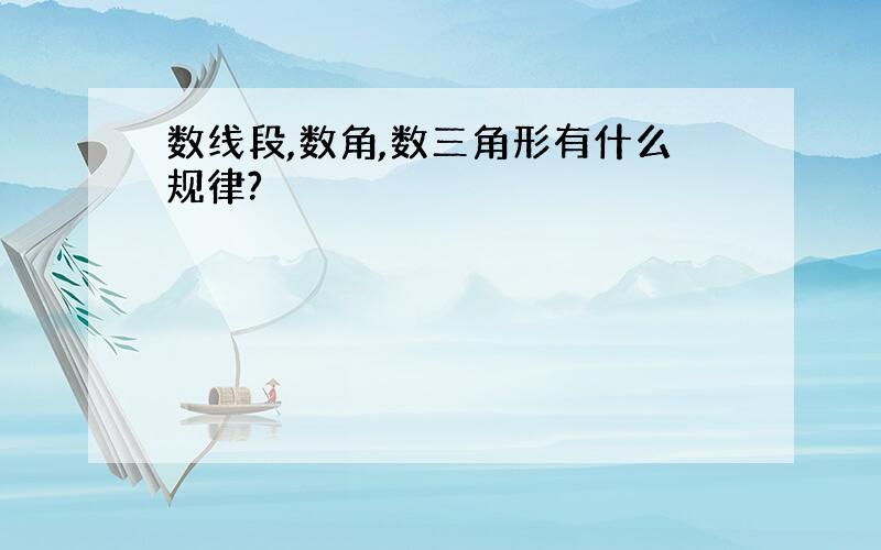 数线段,数角,数三角形有什么规律?