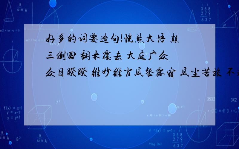 好多的词要造句!恍然大悟 颠三倒四 翻来覆去 大庭广众 众目睽睽 维妙维肖风餐露宿 风尘苦旅 不求甚解 莫名其妙 不可名