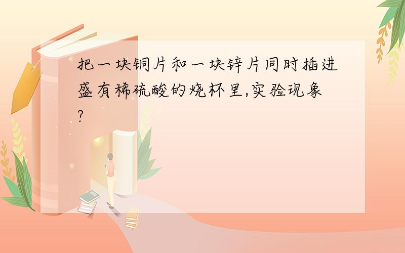 把一块铜片和一块锌片同时插进盛有稀硫酸的烧杯里,实验现象?