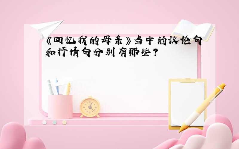 《回忆我的母亲》当中的议论句和抒情句分别有那些?