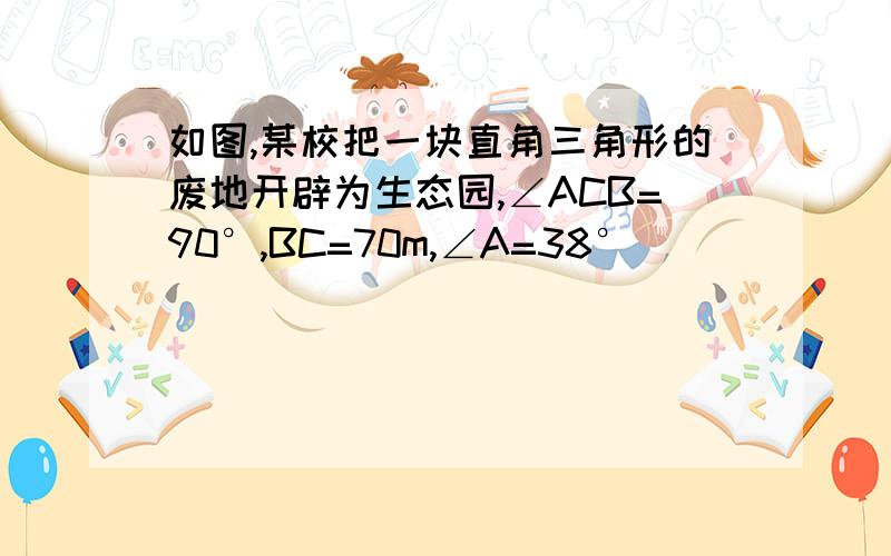 如图,某校把一块直角三角形的废地开辟为生态园,∠ACB=90°,BC=70m,∠A=38°