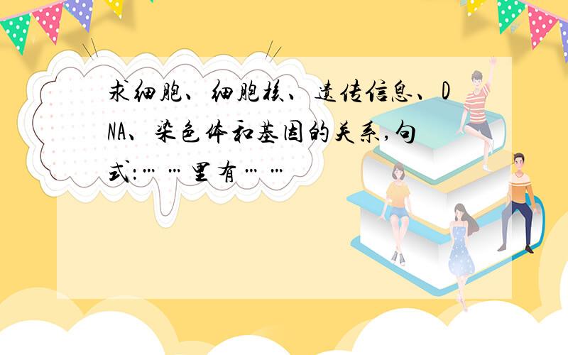 求细胞、细胞核、遗传信息、DNA、染色体和基因的关系,句式：……里有……