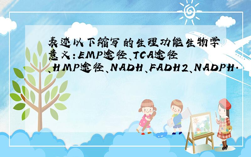 表述以下缩写的生理功能生物学意义：EMP途径、TCA途径、HMP途径、NADH、FADH2、NADPH.