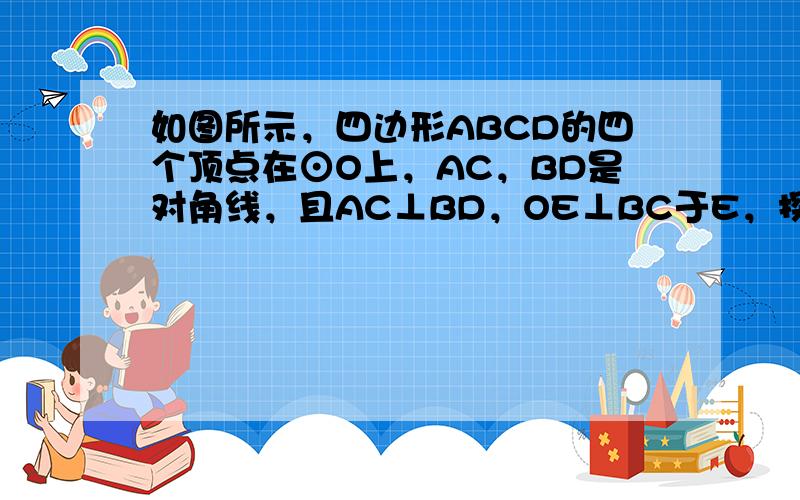 如图所示，四边形ABCD的四个顶点在⊙O上，AC，BD是对角线，且AC⊥BD，OE⊥BC于E，探索：OE与AD的数量关系