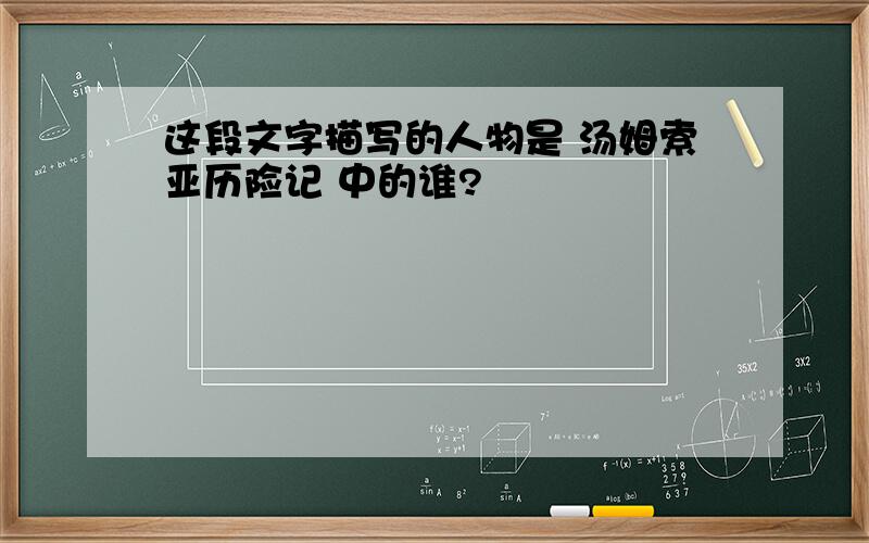 这段文字描写的人物是 汤姆索亚历险记 中的谁?