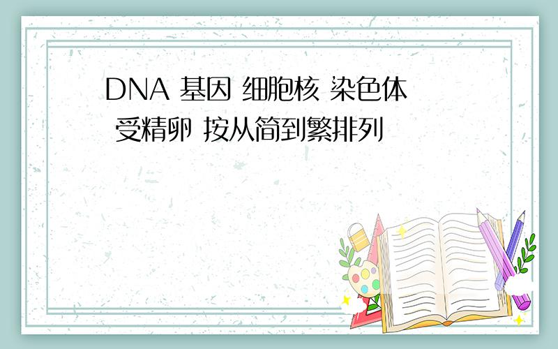 DNA 基因 细胞核 染色体 受精卵 按从简到繁排列