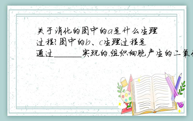 关于消化的图中的a是什么生理过程?图中的b、c生理过程是通过______实现的.组织细胞产生的二氧化碳通过_______