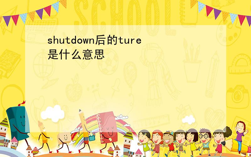 shutdown后的ture是什么意思