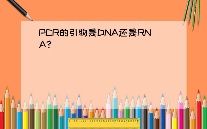 PCR的引物是DNA还是RNA?