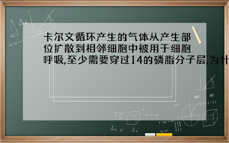 卡尔文循环产生的气体从产生部位扩散到相邻细胞中被用于细胞呼吸,至少需要穿过14的磷脂分子层,为什么?