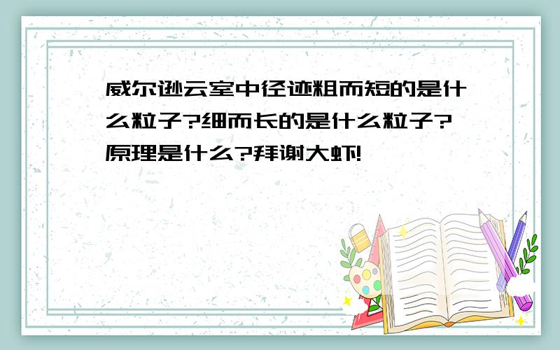 威尔逊云室中径迹粗而短的是什么粒子?细而长的是什么粒子?原理是什么?拜谢大虾!