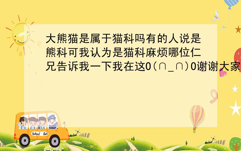 大熊猫是属于猫科吗有的人说是熊科可我认为是猫科麻烦哪位仁兄告诉我一下我在这O(∩_∩)O谢谢大家了!