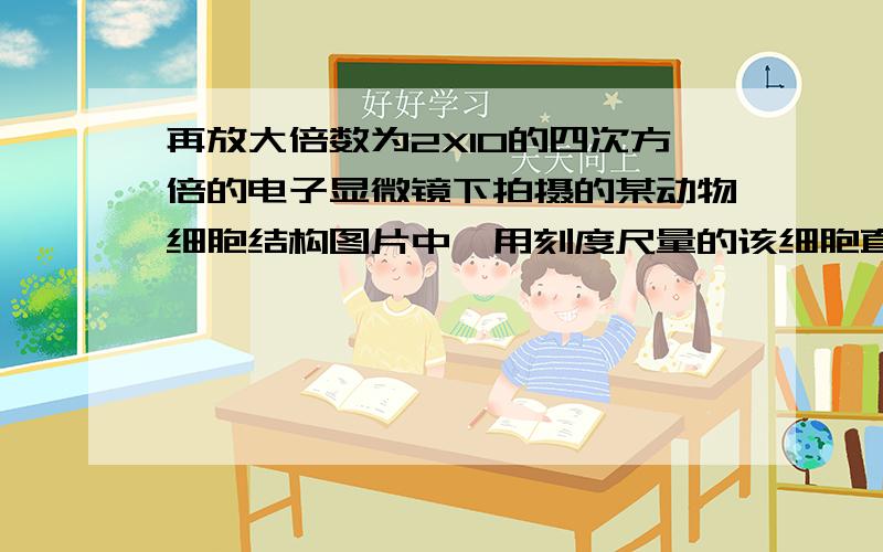 再放大倍数为2X10的四次方倍的电子显微镜下拍摄的某动物细胞结构图片中,用刻度尺量的该细胞直径为1.6cm