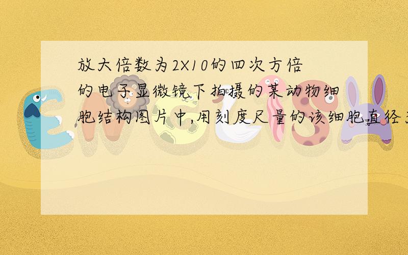 放大倍数为2X10的四次方倍的电子显微镜下拍摄的某动物细胞结构图片中,用刻度尺量的该细胞直径为1.6cm