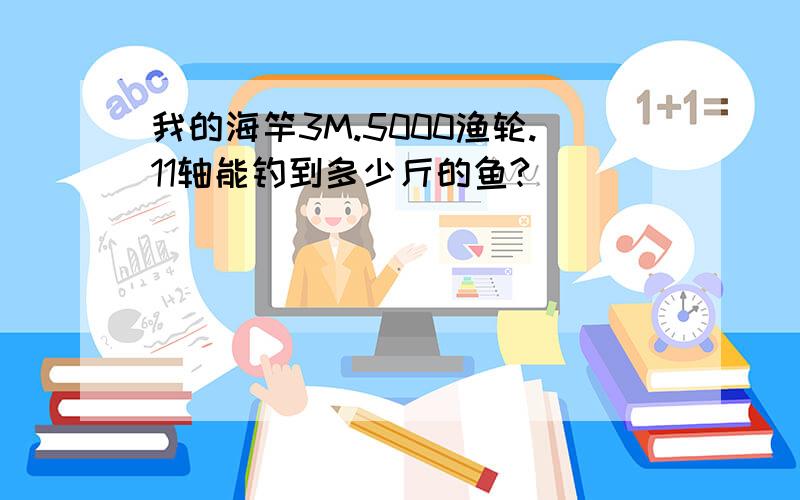 我的海竿3M.5000渔轮.11轴能钓到多少斤的鱼?