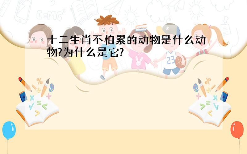 十二生肖不怕累的动物是什么动物?为什么是它?