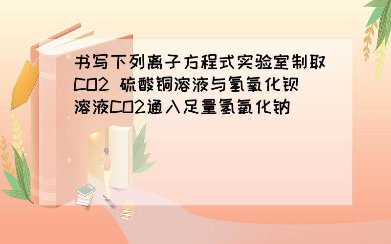 书写下列离子方程式实验室制取CO2 硫酸铜溶液与氢氧化钡溶液CO2通入足量氢氧化钠