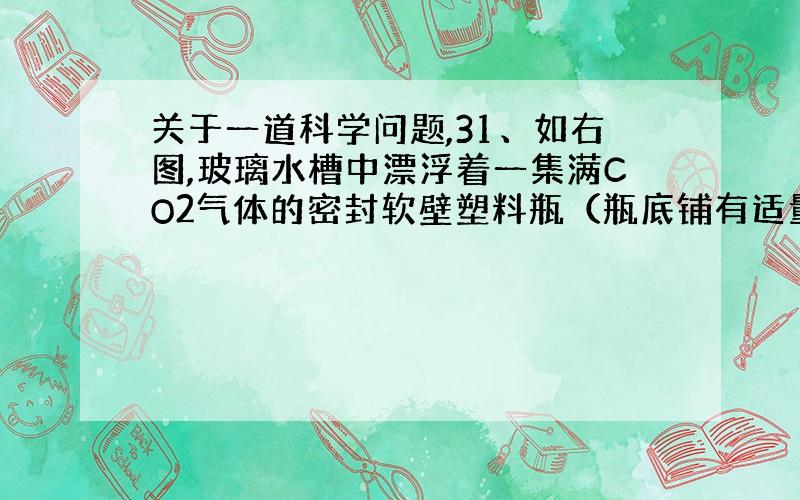 关于一道科学问题,31、如右图,玻璃水槽中漂浮着一集满CO2气体的密封软壁塑料瓶（瓶底铺有适量的沙粒以使其正立于水中）,