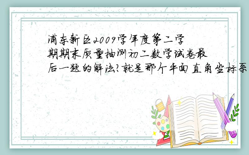 浦东新区2009学年度第二学期期末质量抽测初二数学试卷最后一题的解法?就是那个平面直角坐标系的那个 拜...