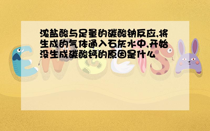 浓盐酸与足量的碳酸钠反应,将生成的气体通入石灰水中,开始没生成碳酸钙的原因是什么