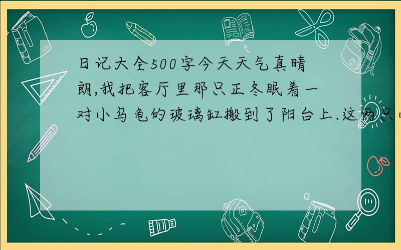 日记大全500字今天天气真晴朗,我把客厅里那只正冬眠着一对小乌龟的玻璃缸搬到了阳台上.这两只小乌龟都穿着一身非常坚固的深