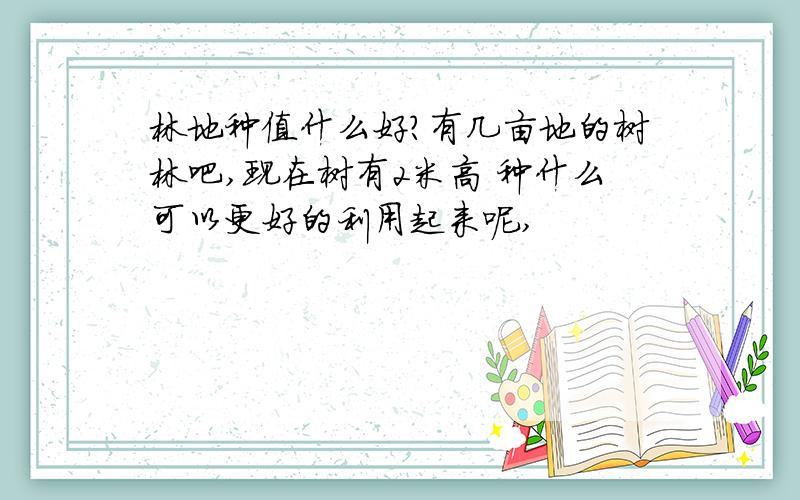 林地种值什么好?有几亩地的树林吧,现在树有2米高 种什么可以更好的利用起来呢,