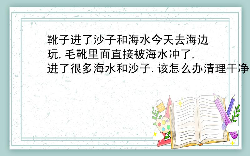 靴子进了沙子和海水今天去海边玩,毛靴里面直接被海水冲了,进了很多海水和沙子.该怎么办清理干净那些沙子?靴子表面上绒面,里