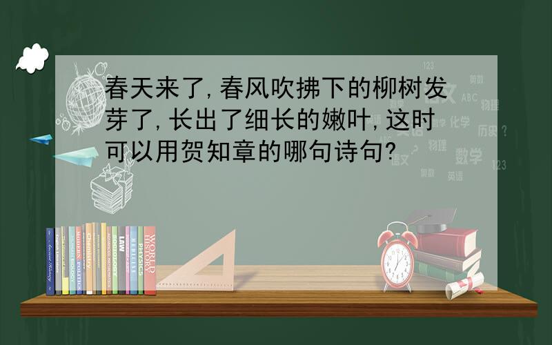 春天来了,春风吹拂下的柳树发芽了,长出了细长的嫩叶,这时可以用贺知章的哪句诗句?