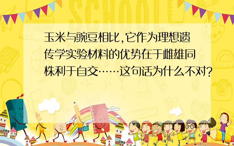 玉米与豌豆相比,它作为理想遗传学实验材料的优势在于雌雄同株利于自交……这句话为什么不对?