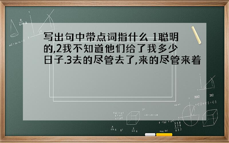 写出句中带点词指什么 1聪明的,2我不知道他们给了我多少日子.3去的尽管去了,来的尽管来着