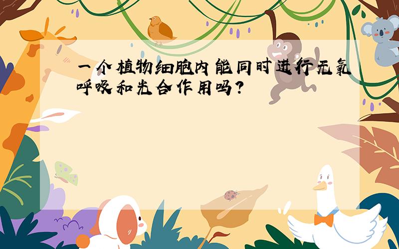 一个植物细胞内能同时进行无氧呼吸和光合作用吗?