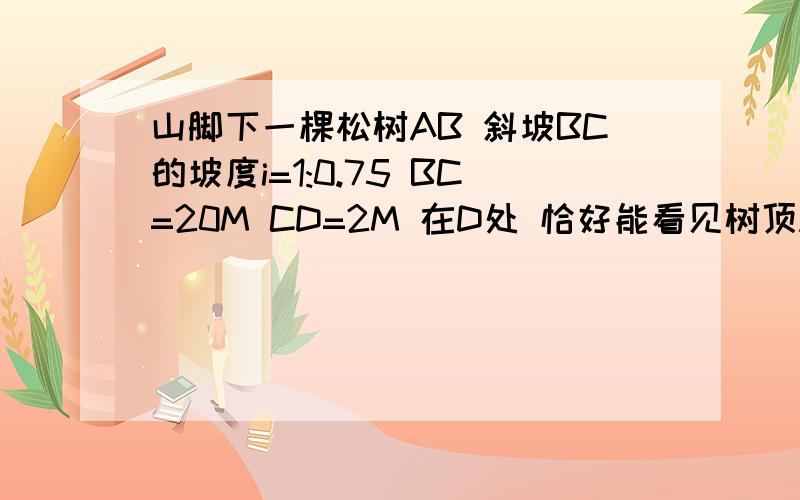 山脚下一棵松树AB 斜坡BC的坡度i=1:0.75 BC=20M CD=2M 在D处 恰好能看见树顶A 人眼高DE=1.